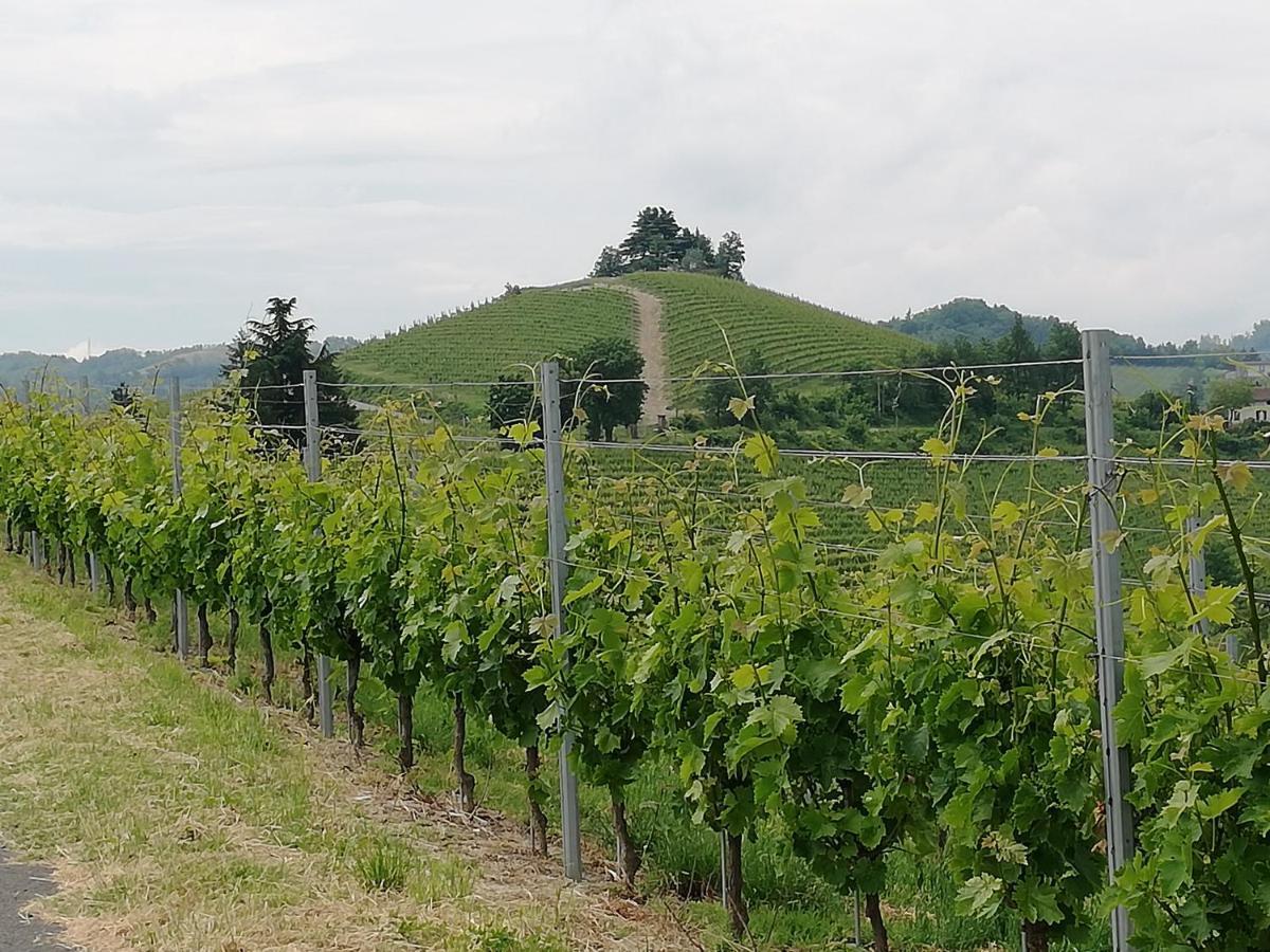 La Giribaldina Winery & Farmhouse Calamandrana Eksteriør billede