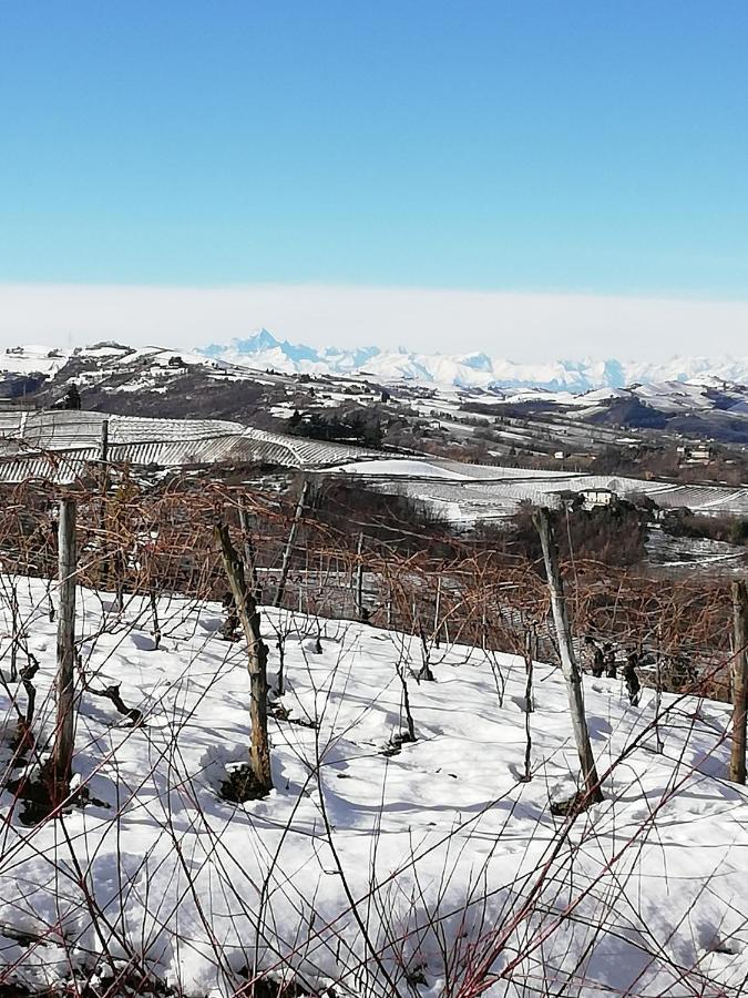 La Giribaldina Winery & Farmhouse Calamandrana Eksteriør billede