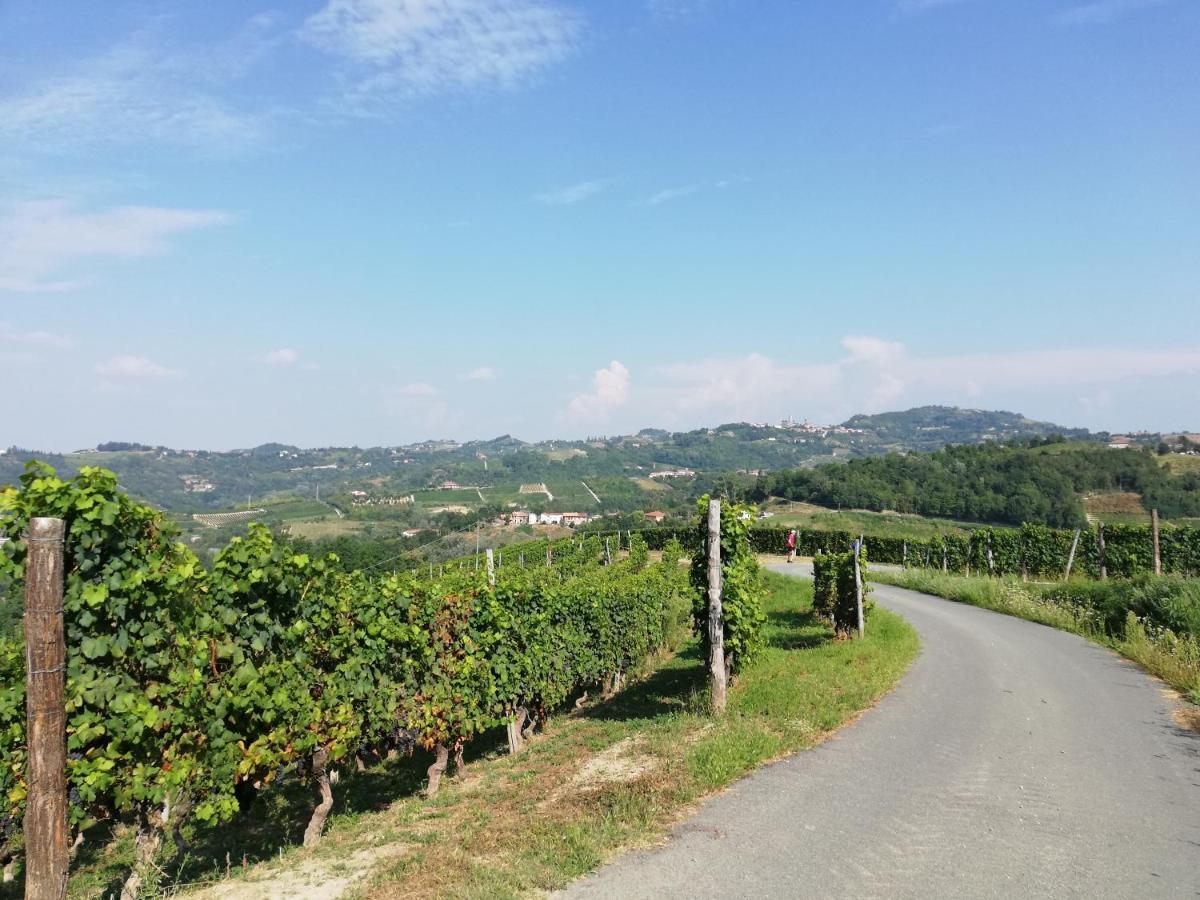 La Giribaldina Winery & Farmhouse Calamandrana Eksteriør billede