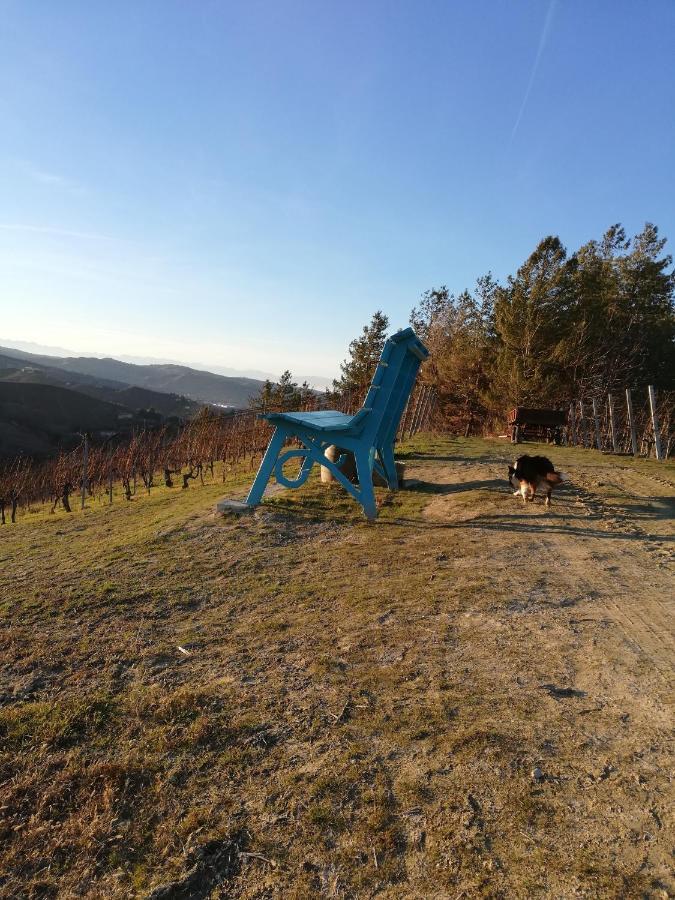 La Giribaldina Winery & Farmhouse Calamandrana Eksteriør billede