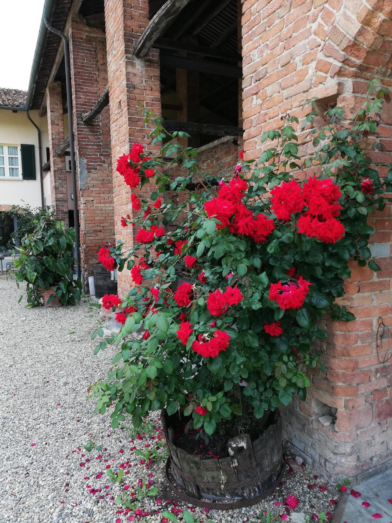 La Giribaldina Winery & Farmhouse Calamandrana Eksteriør billede