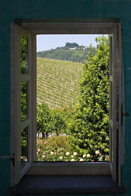 La Giribaldina Winery & Farmhouse Calamandrana Værelse billede