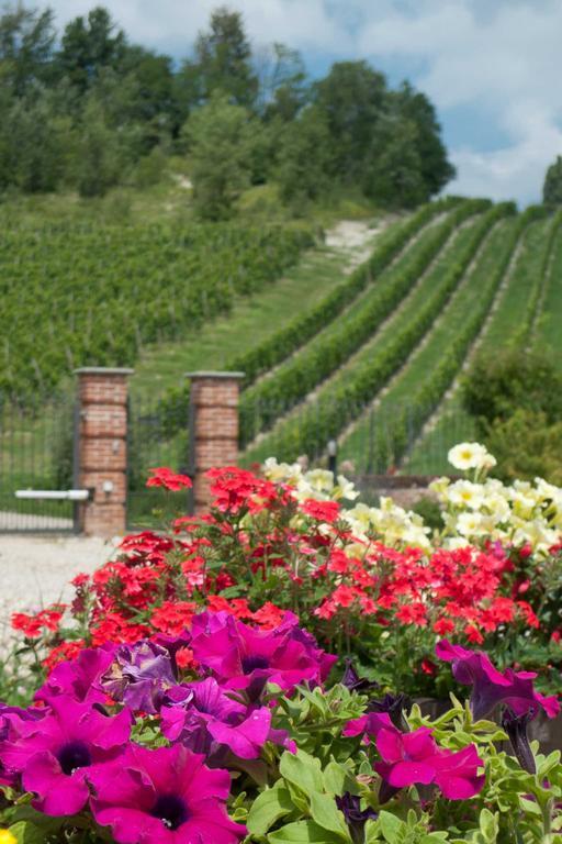 La Giribaldina Winery & Farmhouse Calamandrana Eksteriør billede